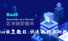 Tokenim恢复教程：快速找回