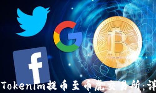 
如何将Tokenim提币至币虎交易所：详细指南